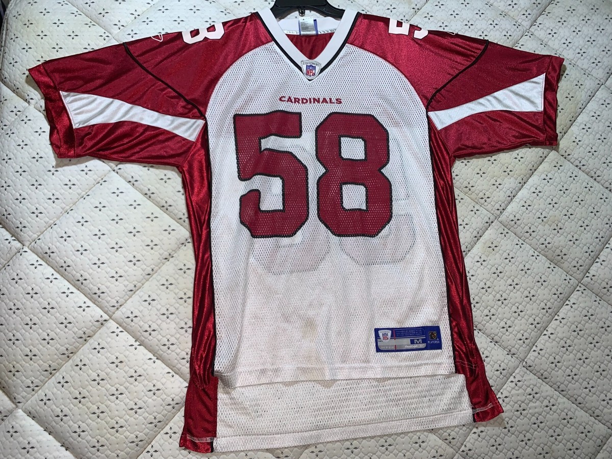 Arizona Cardinals crocs worn by Karlos Dansby Karlos Dansby hopeful to cement Hall of Fame credentials  main image 4