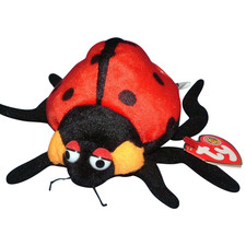 Ty Beanie Baby Countess the Ladybug BBOM June 2004 MWMT Free Shipping