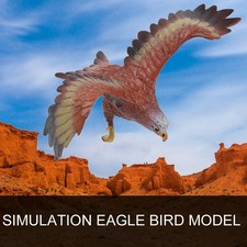 —Simulation Eagle Model Ornaments Desktop Decoration Children Educational