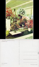 Erfurt Internationale Gartenbauausstellung der DDR (IGA) 1973