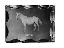 Lipizzano cornice di cristallo con cavallo Art-Dog