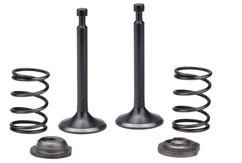 Intake Exhaust Valve Spring For Alton AT04105D AT04105 3500 Watts Generator