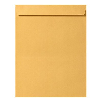 Cashier Depot 10 x 13'' Catalog Envelopes, Premium 28lb Kraft, Gum Flap, 100/Box 