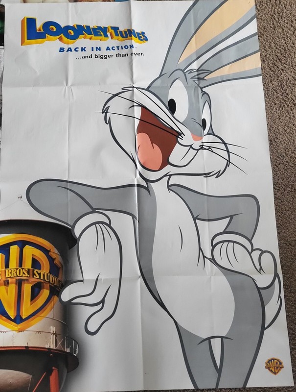 SUPER LARGE 36X56 INCH PRINTED ON BOTH SIDES " LOONEY TUNES" BACK IN ACTION