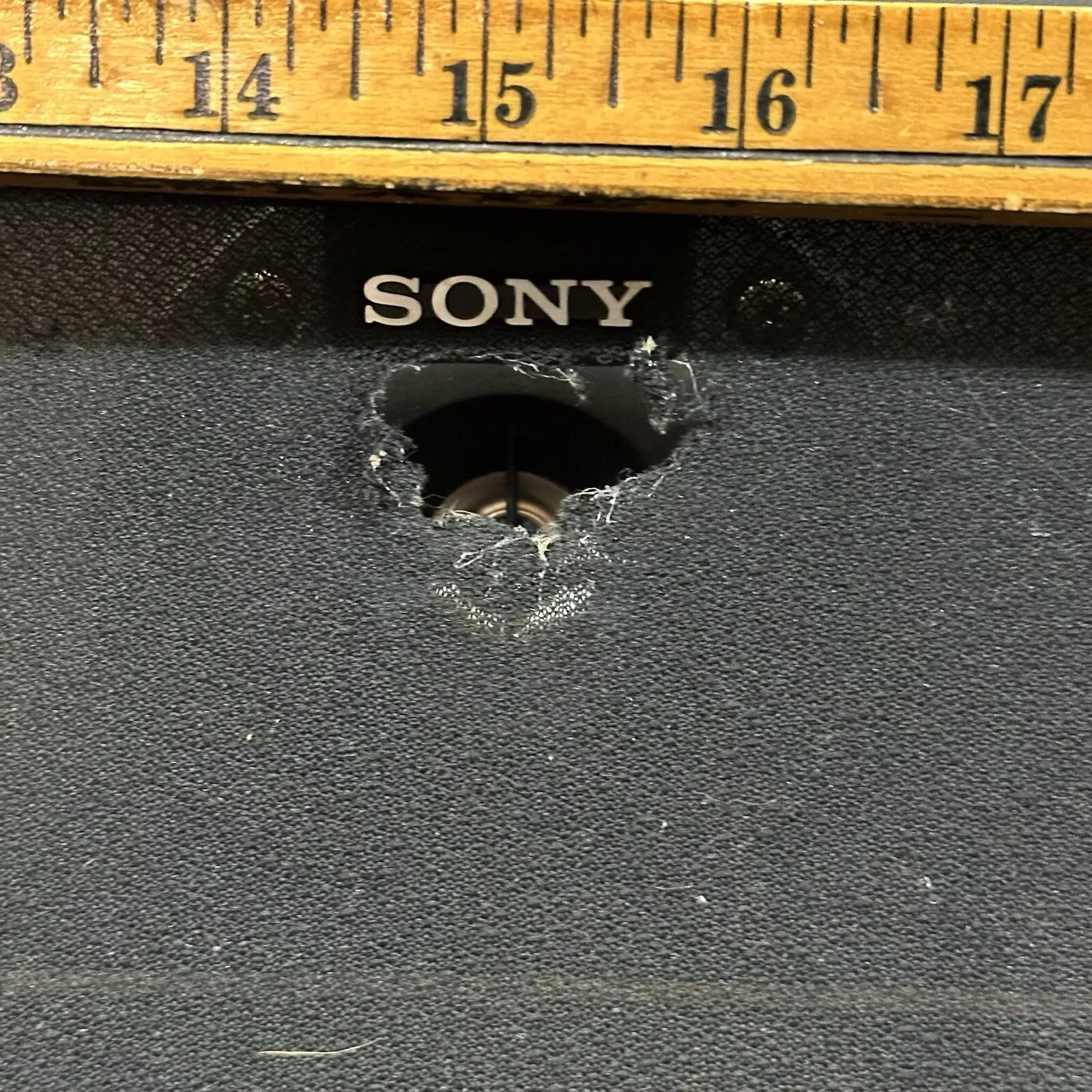 Picture 11 of 11