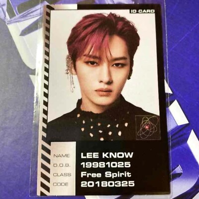 Stray Kids LEEKNOW ID - ODDINARY - official Photo card Mini
