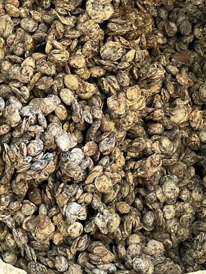 Stone Free Fresh Locusts Beans ( 12oz)