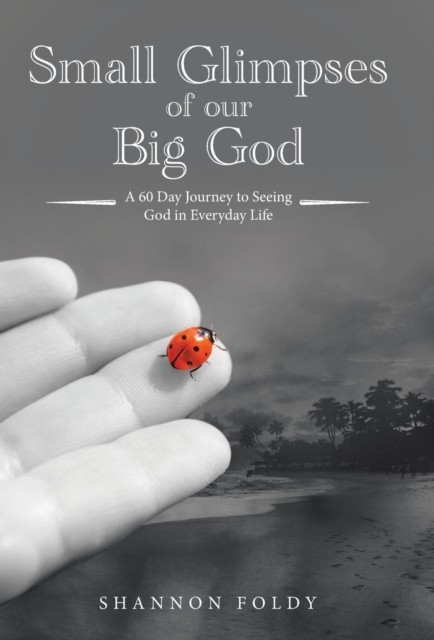 Small Glimpses of Our Big God: A 60 Day Journey to  by Shannon Foldy HARDBACK