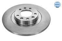 2X Bremsscheibe Hinterachse FüR CitroËN Fiat Opel Peugeot Toyota Vauxhall DS C4