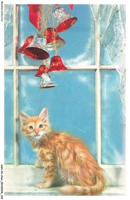 ASHP6-0373-KATZE - Eine Katze Neben Einem Fenster Und Glöckchen