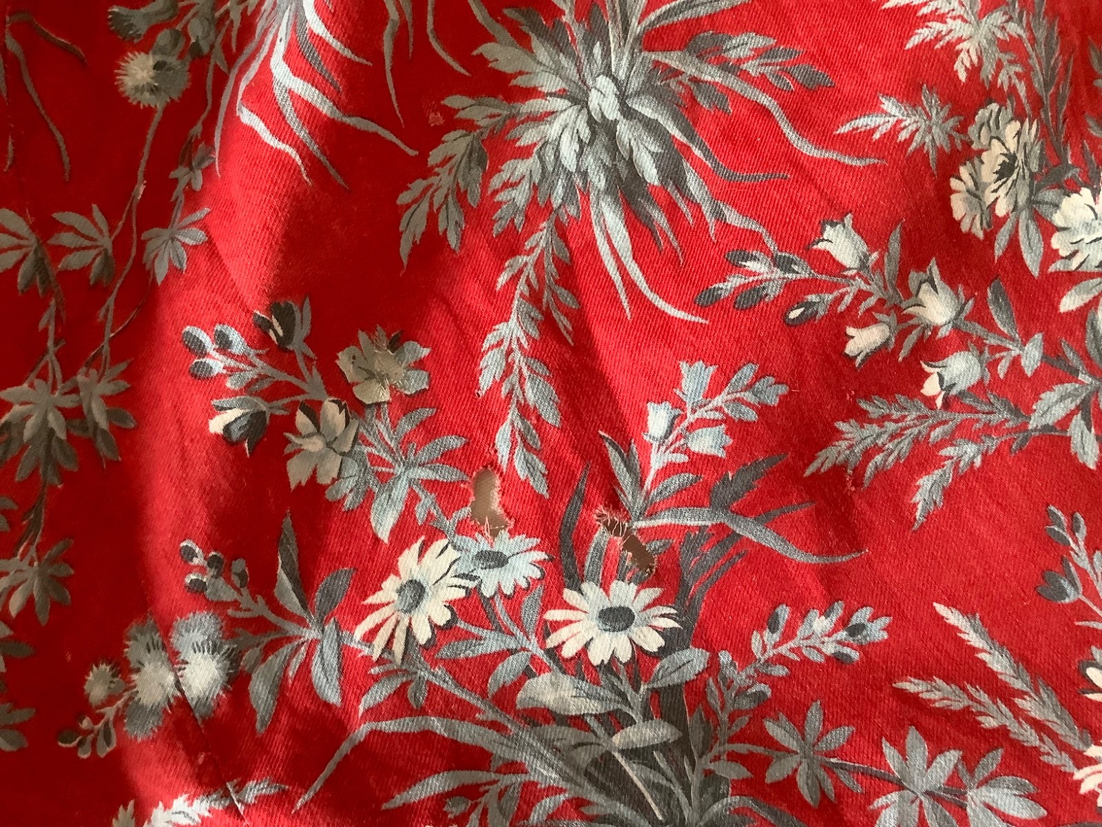 Picture 5 of 20