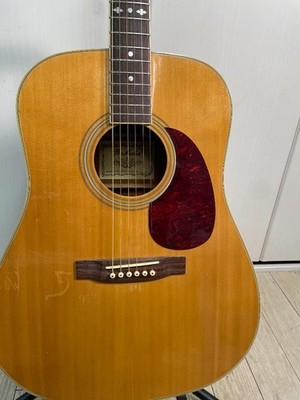 Pro Martin Pro Martin W300N Acoustic Guitar USED | eBay