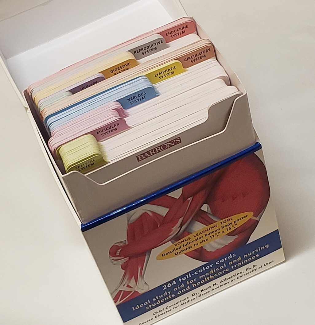 Barron's Anatomy Flashcards 264 FullColor Cards by Kurt H. Albertine