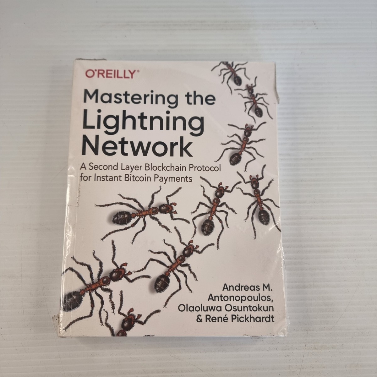 Mastering the Lightning Network: A Second Layer Bitcoin Payments  9781492054863 | eBay Australia