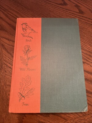 An Introduction To Nature