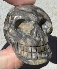  Fossilized Coral CRYSTAL SKULL - Dissipate negativity, Stimulate 3rd Eye