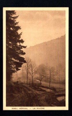Alsace - Forest Trails near Herival (p1081)