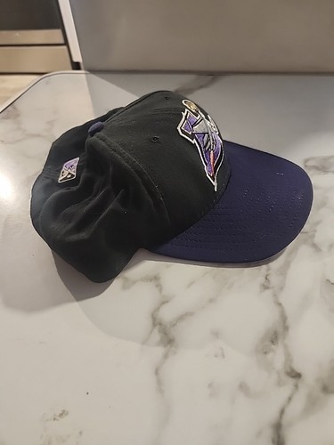 Vintage Lancaster Jethawks Snapback Hat Cap Minor League Purple Black MiLB Y2K - Picture 8 of 13