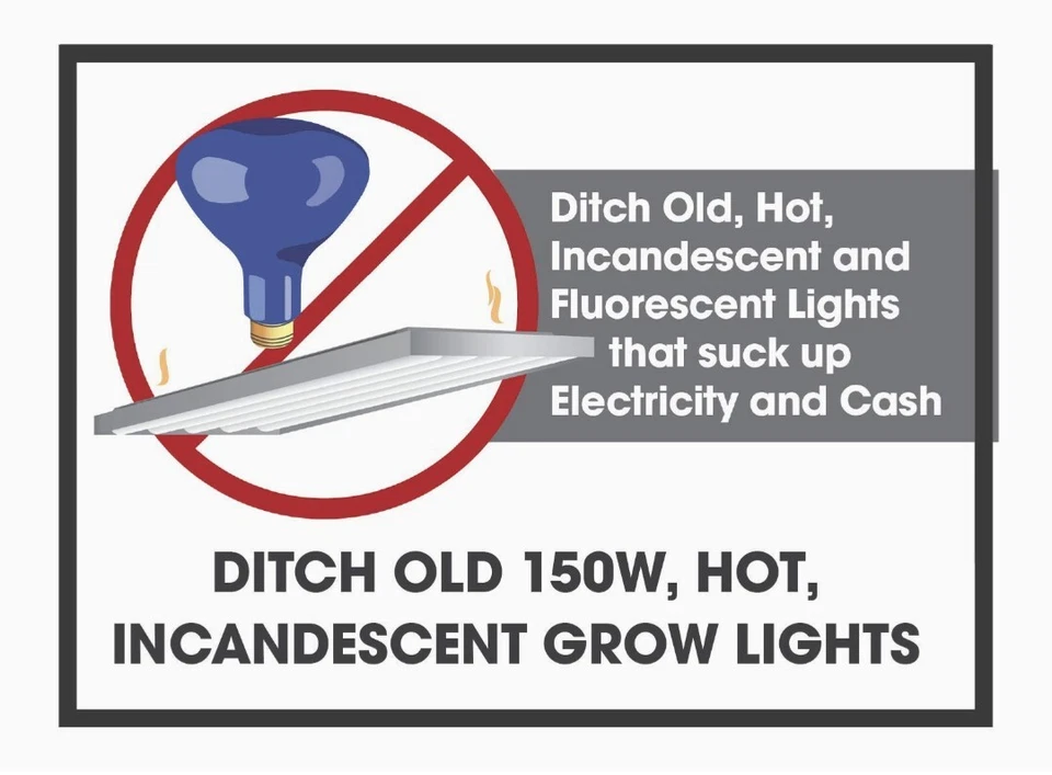 SmokePhonics Indoor Red & Blue Spectrum 6Ft Corded LED Lighting - Image 4 of 4