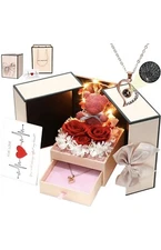 Preserved Rose with Necklace Mothers Day Gift, for Girlfriend or Wife 