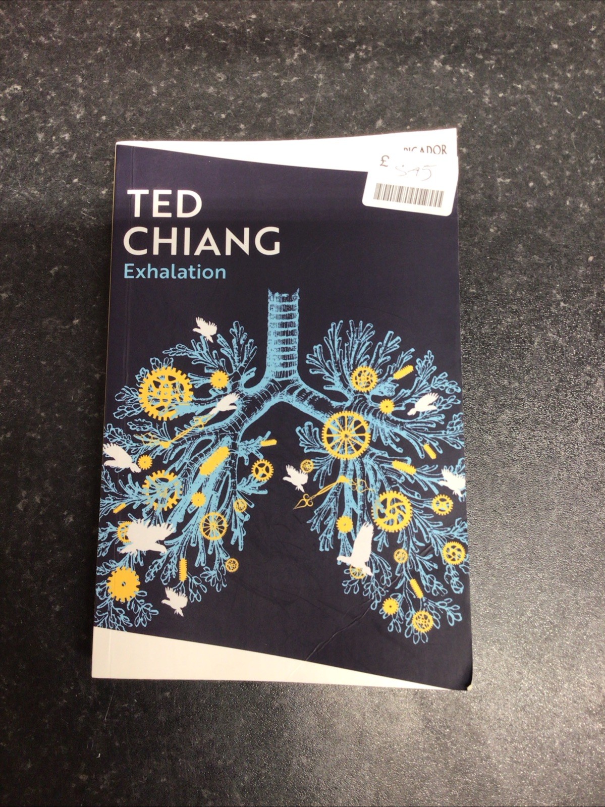 Exhalation by Ted Chiang (Paperback Book)