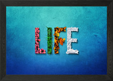 LIFE seasons concept on blue backgr Framed Wall Art Poster Canvas Print Picture