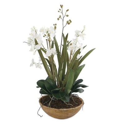 Moth Orchid - 33.5 inch Planter Accessories Uttermost 60039
