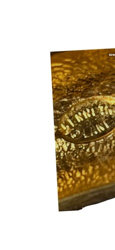 Image thumbnail 13