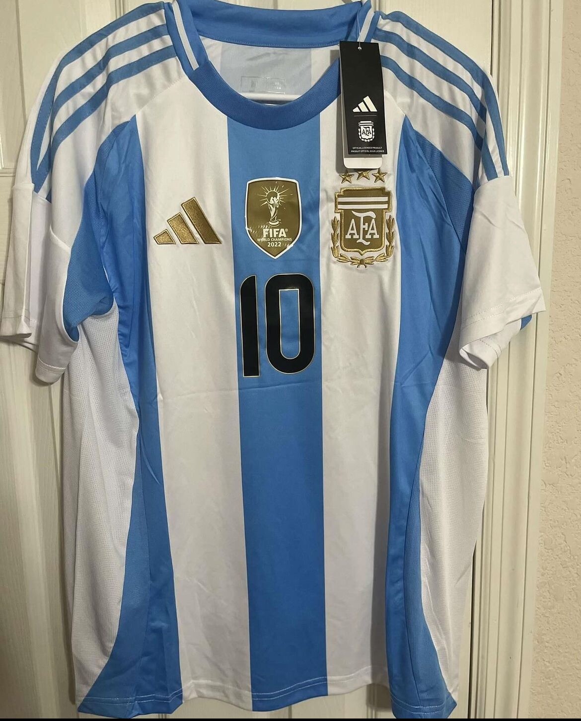 MESSI #10 | 2024 Argentina Home Copa America Jersey | Ships Today! | Size: M