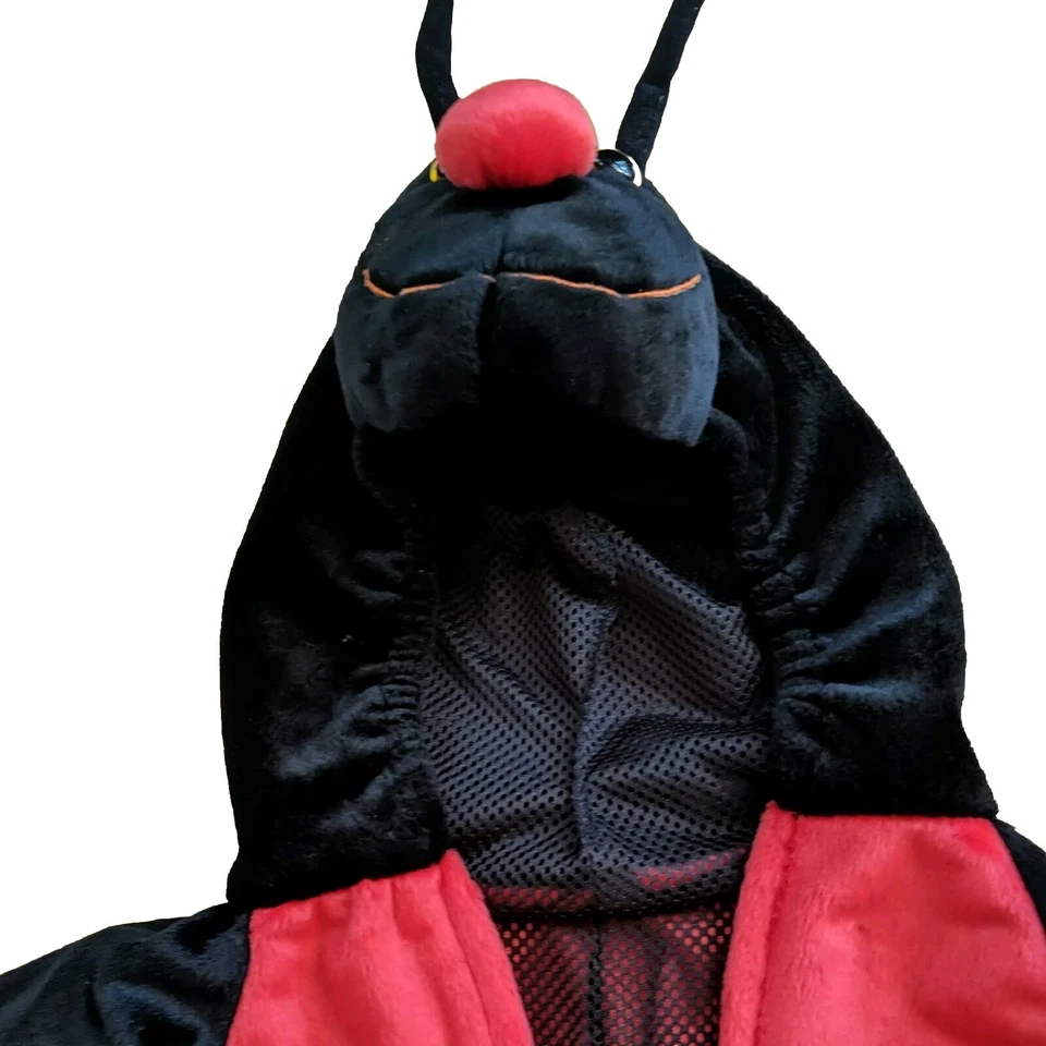 Ladybug Talla 4T Niño Pequeño Alta Calidad Euro Talla 44 Niños Traje Conjunto Halloween Foto 3 de 4