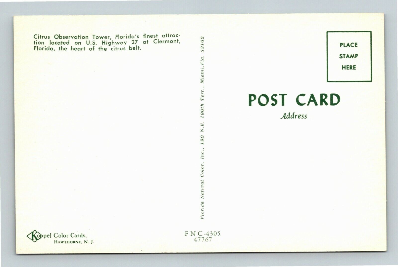 Clermont FLFlorida, Citrus Observation Tower, Vintage Postcard Falak Tayyeb Platinum