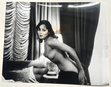 I The Jury - Barbara Carrera 1982 USA Promo Real Photograph 10x8" Armand Assante
