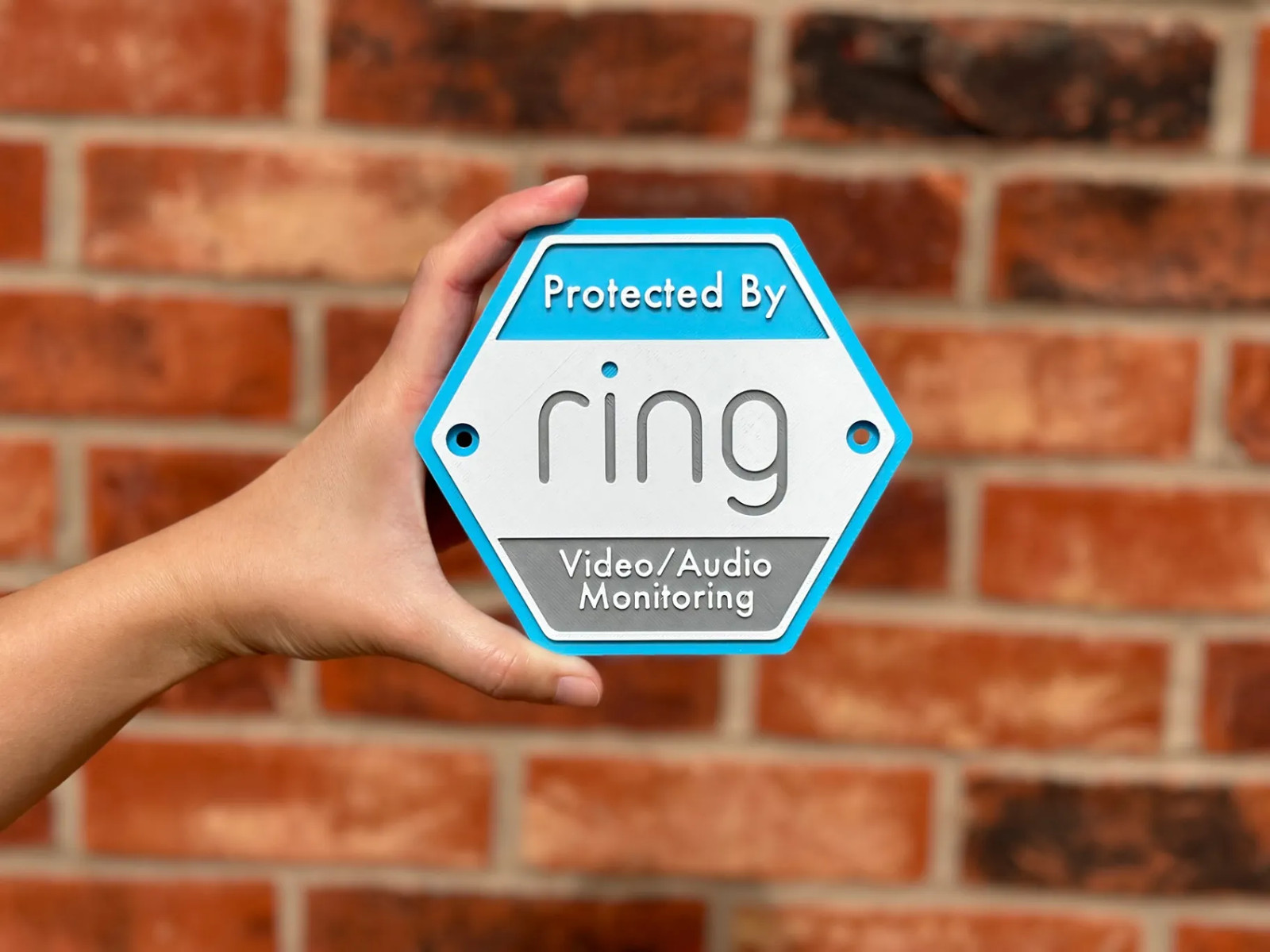 Sign Protected By Video Surveillance Warning