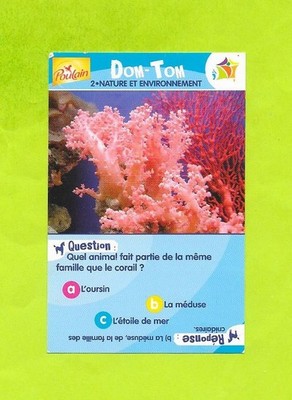 Vignette Fohlen - DOM-TOM - 2 Natur und Umwelt - Die Koralle