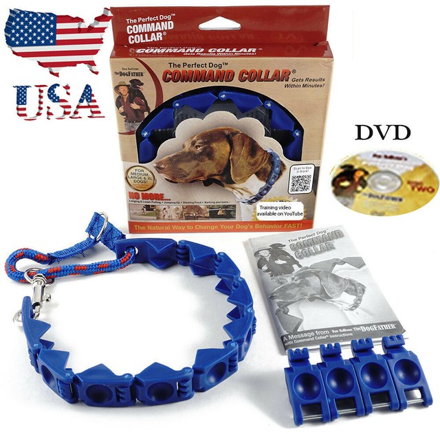 the command collar