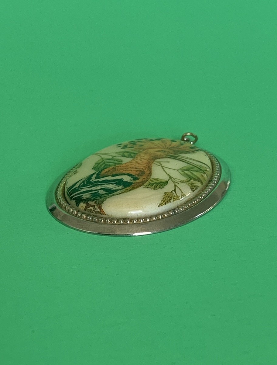 Royal Flycatcher Bird Necklace Pendant Tropics Tropical Cabochon View 4