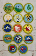 BSA Boy Scout Merit Badges, Pre-owned
