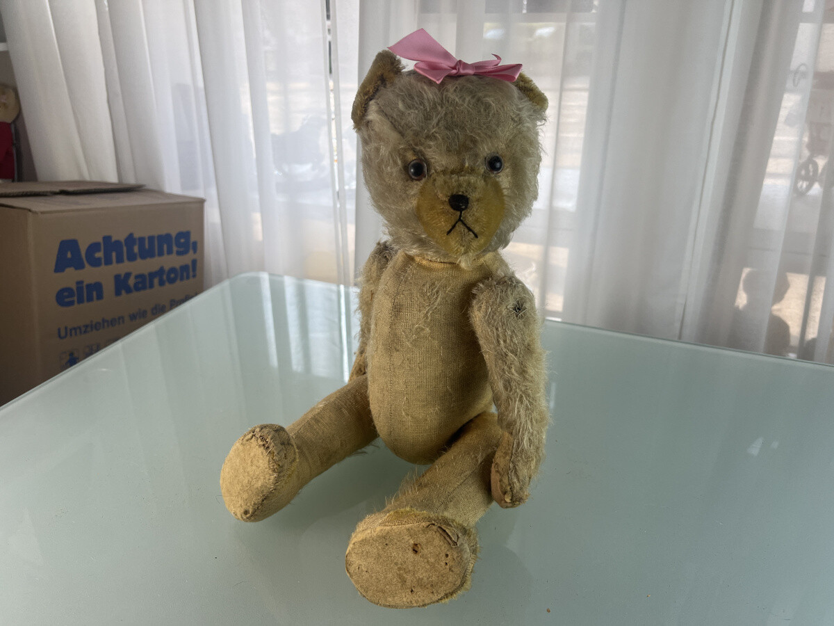An Old Collector Teddy Bear Artist Bear 19 11/16in Zustand