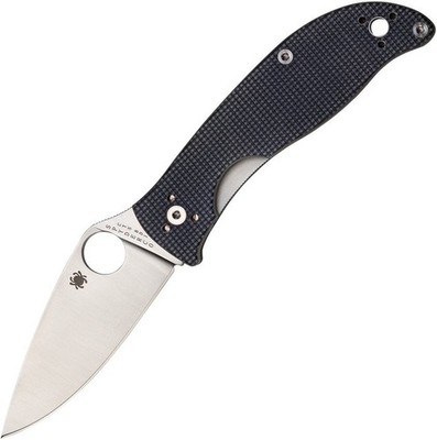 Spyderco Polestar CTS-BD1 Folding Knife Gray