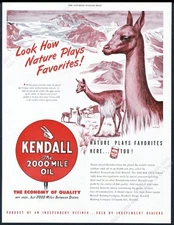 1948 vicuna Andes mountains art Kendall motor oil vintage print ad