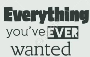 Everything You Ve Ever Wanted Ebay Stores