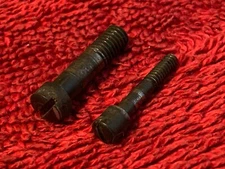 Heritage Rough Rider Trigger Screw & Hammer Screw- .22LR Revolver- 20160