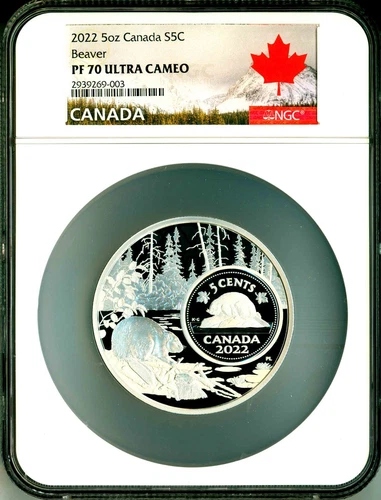 2022 Canada S5c The Bigger Picture Beaver 5 Oz. NGC PF70 Ultra Cameo NGC Pop = 1