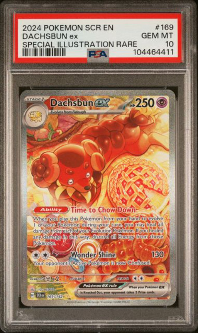PSA 10 GEM MT 2024 Pokemon Dachsbun ex Stellar Crown SIR #169