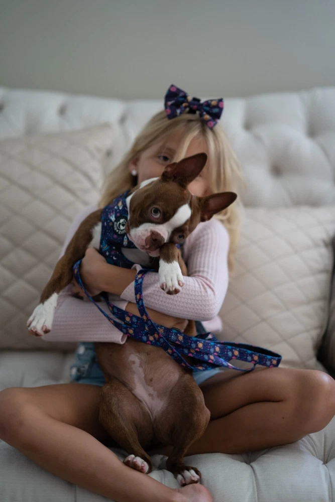 Dog Harness No-Pull with Leash set
