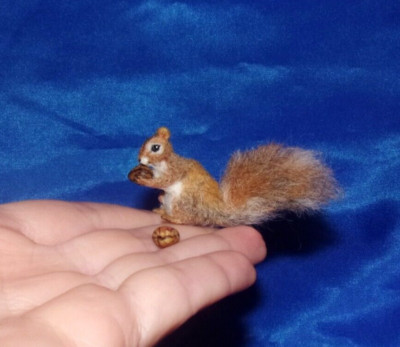 Red Squirrel MADE TO ORDER OOAK 1:12 Miniature Dollhouse handmade realistic IGMA