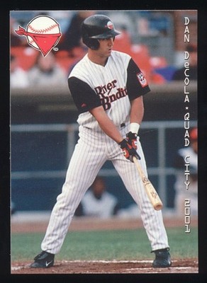 Choose Your Minor League Player Card Lot, Last Name Begins with D, Free Ship  D3