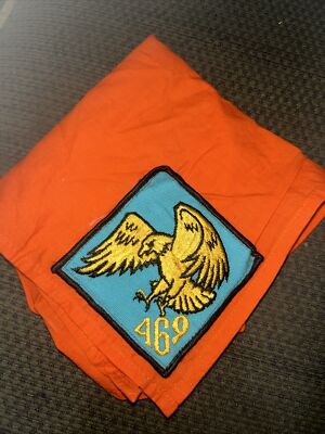 Older Boy Scout Troop 469 Neckerchief N/C