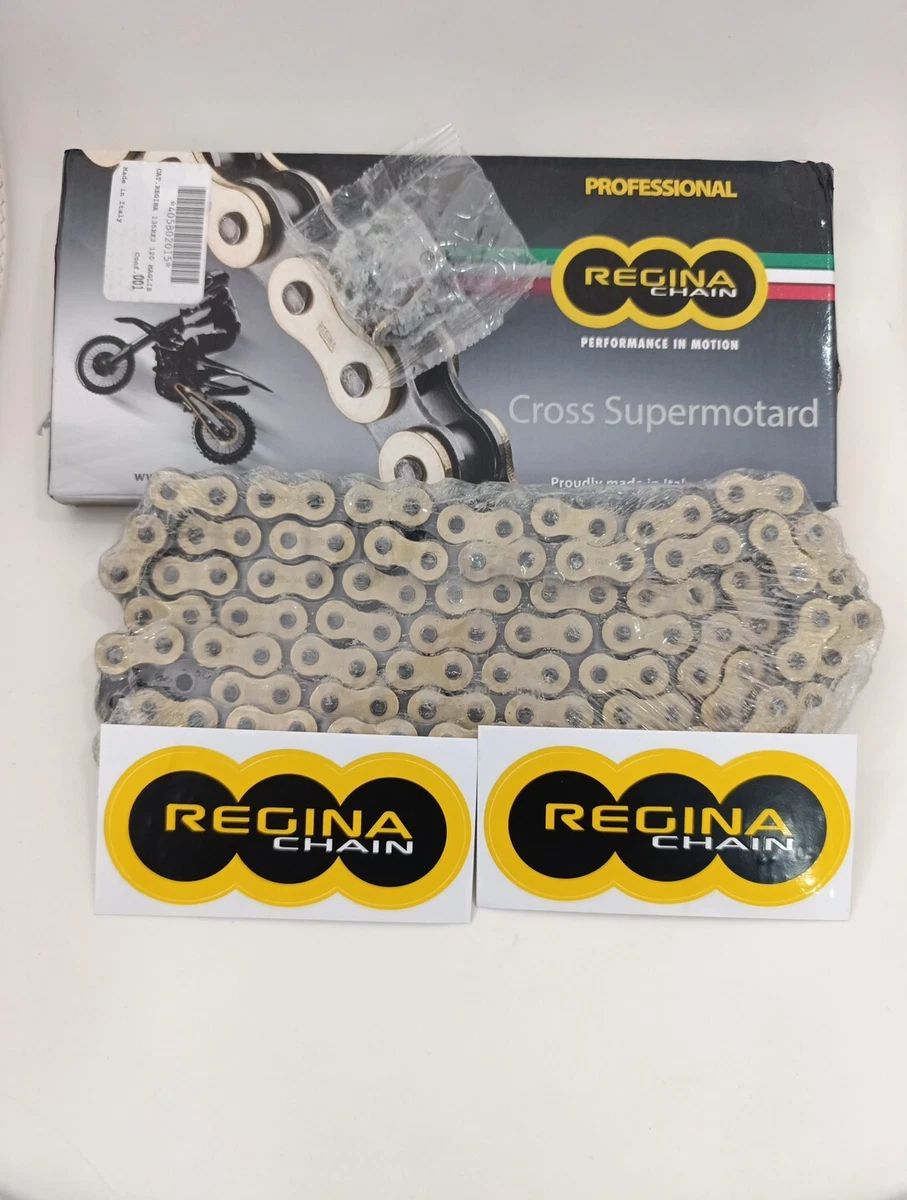 Catena rinforzata 520 (O-ring) Maglie 120 Afam moneta d'oro