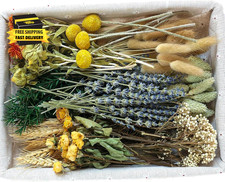 DIY Natural Dried Flower Set, Bulk Dried Flowers for Vase, Dried Flowers with St